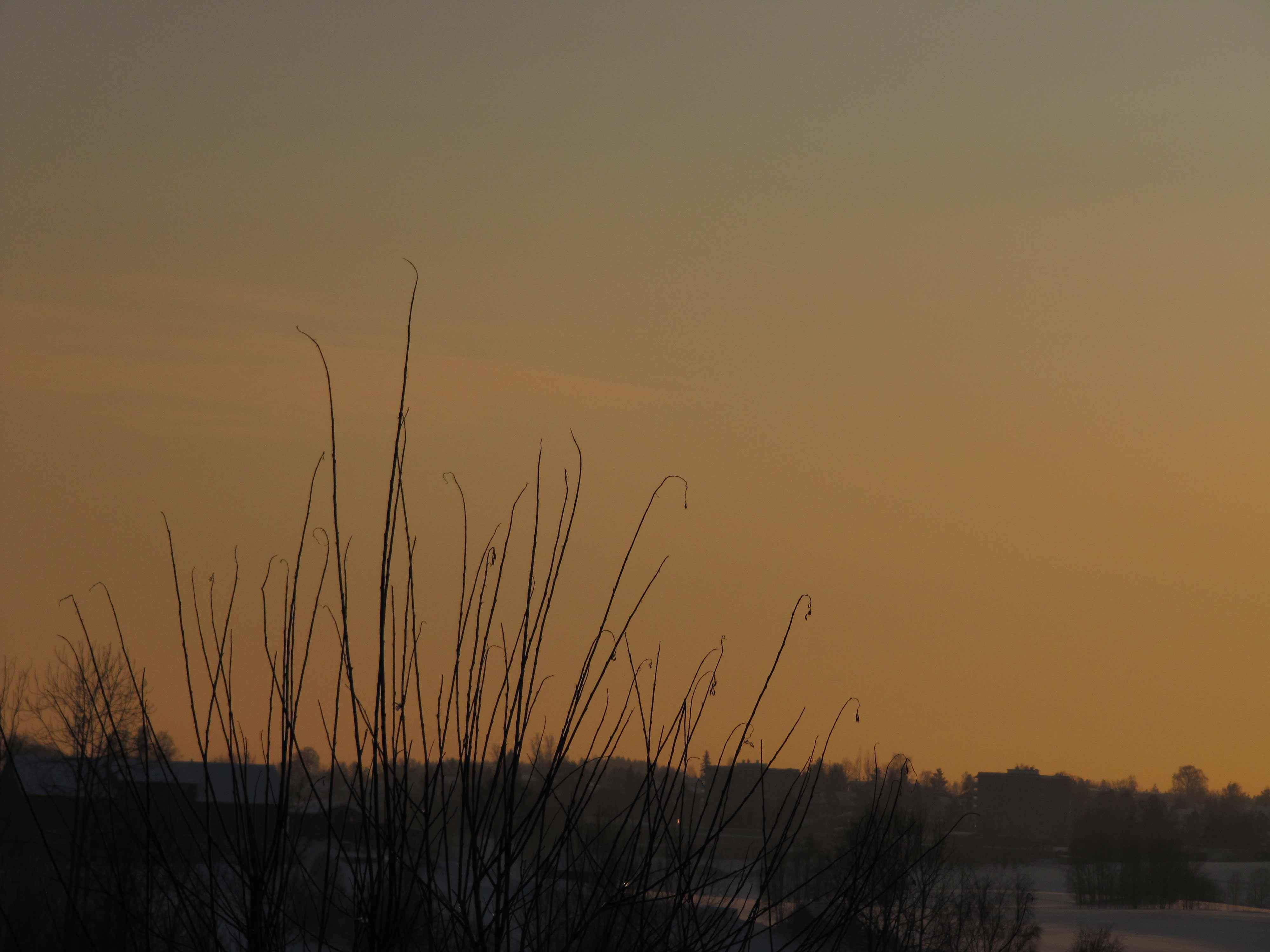 Vinterkveld p Langhus ved solnedgang